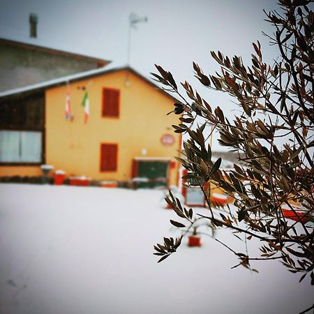 La Valle B&B Asti Luaran gambar