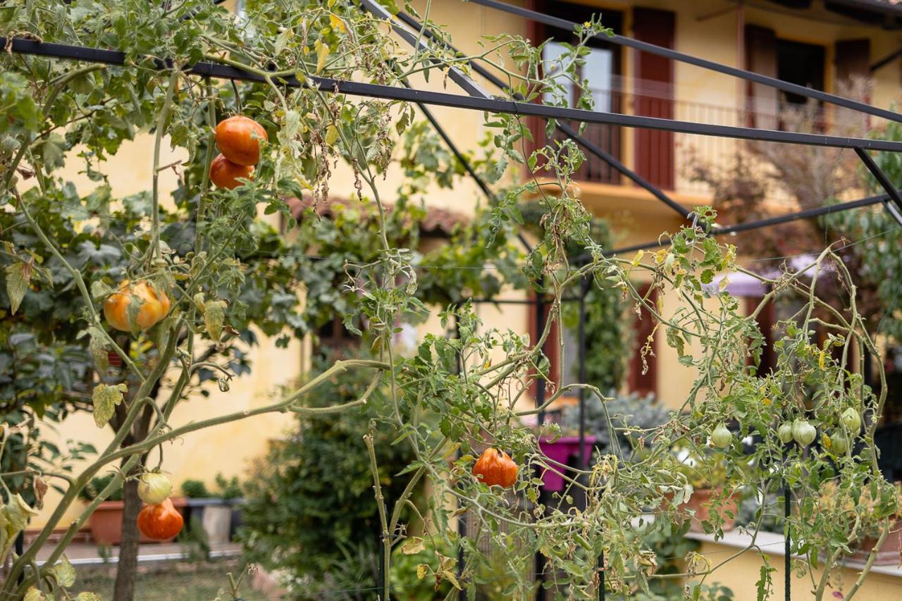 La Valle B&B Asti Luaran gambar